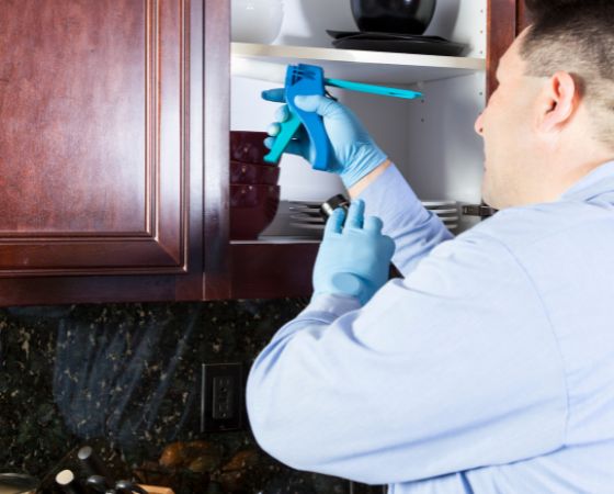 Pest Control University Place