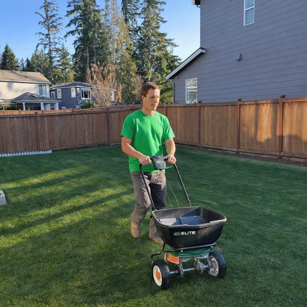 LawnMossTreatment