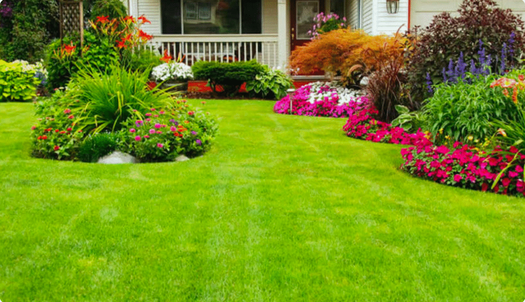 lawn